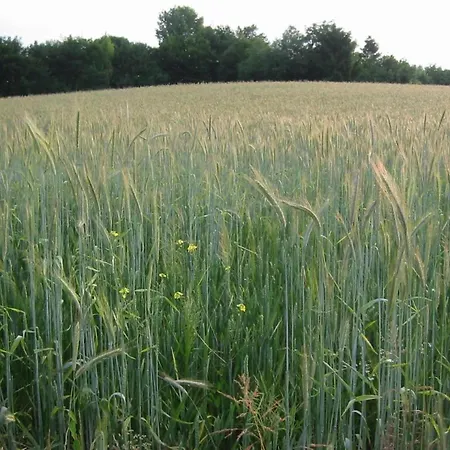 Near Nature Reserve * Bemelen